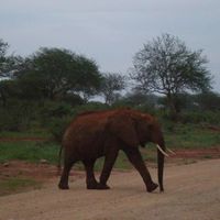 Fotos de Saade Abdalla