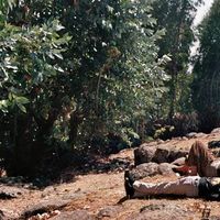 Ephrem Kebede的照片