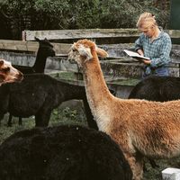 Rebecca Größ-Ahr's Photo