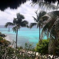 Andrea Alegría的照片