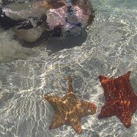 Katharina  Legge's Photo