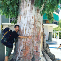 Yero Navarro's Photo