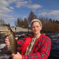 Benjamin Bylund's Photo