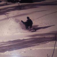 Terrence Murphy的照片