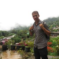 Nicholas Williams的照片