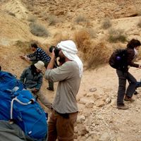 Photos de Zvika Klin