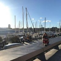 Fernanda Nochebuena's Photo