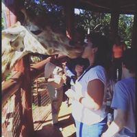 Фотографии пользователя Rebeca Martinez