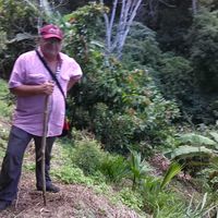 Fotos de Fernando Dau