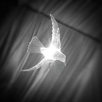 Astraea B. A.'s Photo