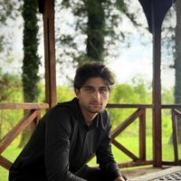 Bacho khvichia的照片