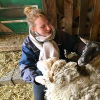 Véronique Dubé的照片