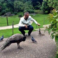 Fotos de Leon Haywood