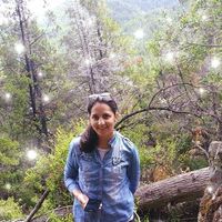 Photos de Paola Silvina