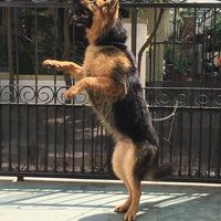 Niranjan Sonawane's Photo