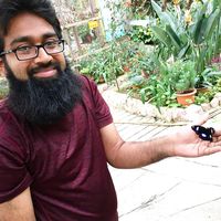 Photos de Mustafa Memon