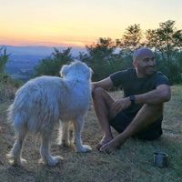 Damiano Valsecchi的照片