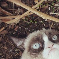 Мирослав Гелеш's Photo