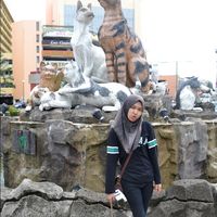 Anisa Nurhenida的照片