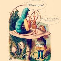 Alicia Flow的照片