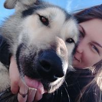 Le foto di Maxine Piron