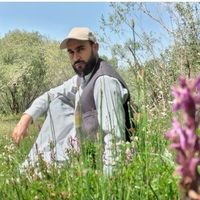 Kabir Tabesh's Photo