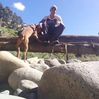 Joel Montalvan's Photo