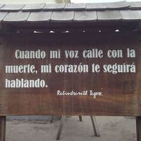 Deivy Mojik的照片