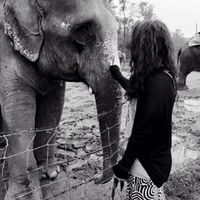 Yasmin Zanini的照片