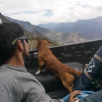 Cesar Seminario's Photo