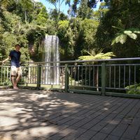 Gustav  Brygger的照片