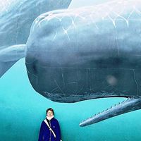 Anna Shevchenko's Photo