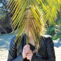 Sophia Meixelsperger的照片