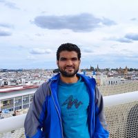 Mahmoud Nabil的照片