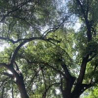 Caterina Giorgio的照片