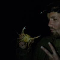 Julien Leaustic's Photo