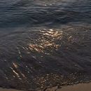 X MAS PICKNICK @ BEACH's picture