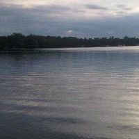 Fotos de Brett Fontaine