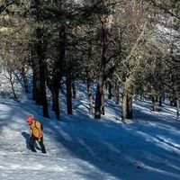 Carlos Coronado's Photo