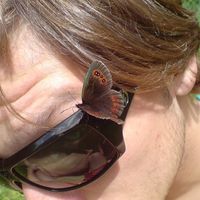 Philipp  Stigler's Photo