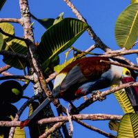 Manuel Vargas Marin's Photo