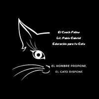 El Coach  Felino's Photo