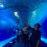 Fotos de Alexei Simonov