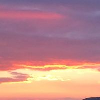 Natasha  Dunn's Photo