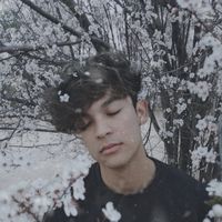 Jonas Lopez的照片