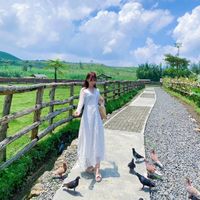 Fotos von Nikie Ahmad