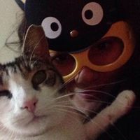 Fotos de Seval's Delirium