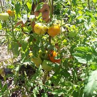 Michelle Martone的照片