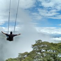 Alex Rodrigues的照片