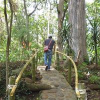 Photos de Alejo Cely